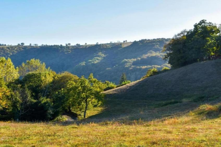 Maison de vacances - SÉNEZERGUES - foto 33