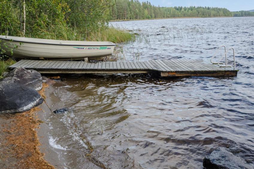 Koli, ulpukka - foto 4