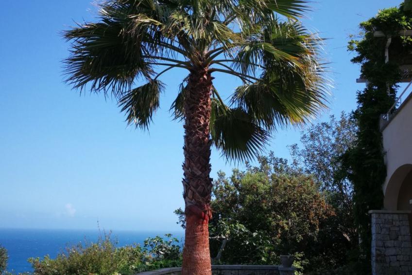 in Gagliano Del Capo mit Privatem Pool - foto 22