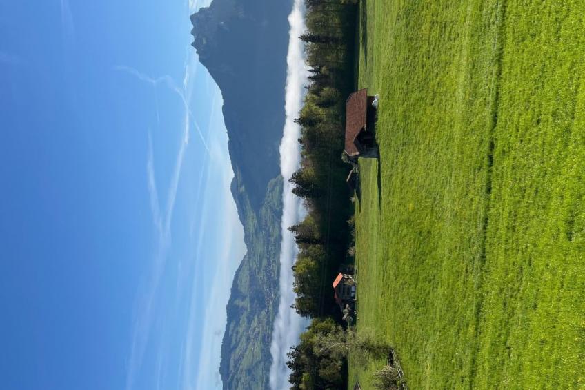 Pfrundmatte 12 - foto 17