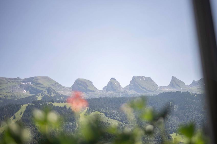 Haldenhof Schwizer - foto 11