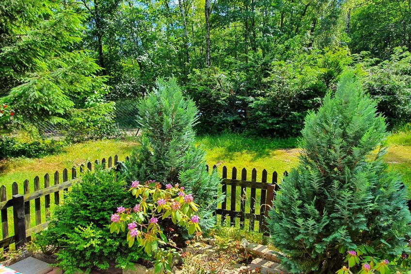 Fewo Goslar Harz - foto 22