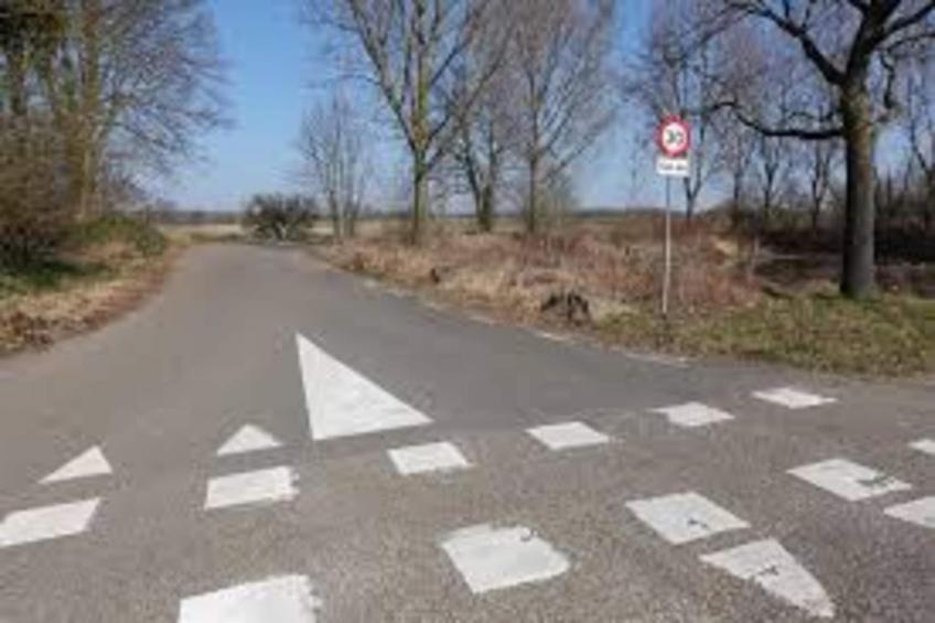 Ravenbosch - Fireplace & Garden Shed - foto 35