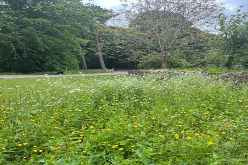 The Wonney's Glamping - foto 22