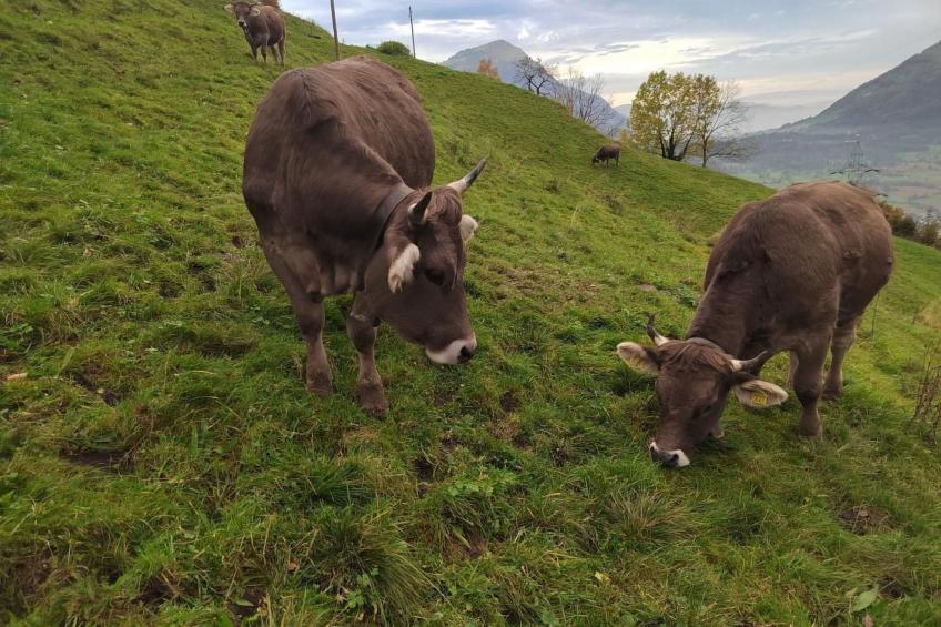 Biohof Langberg - foto 23