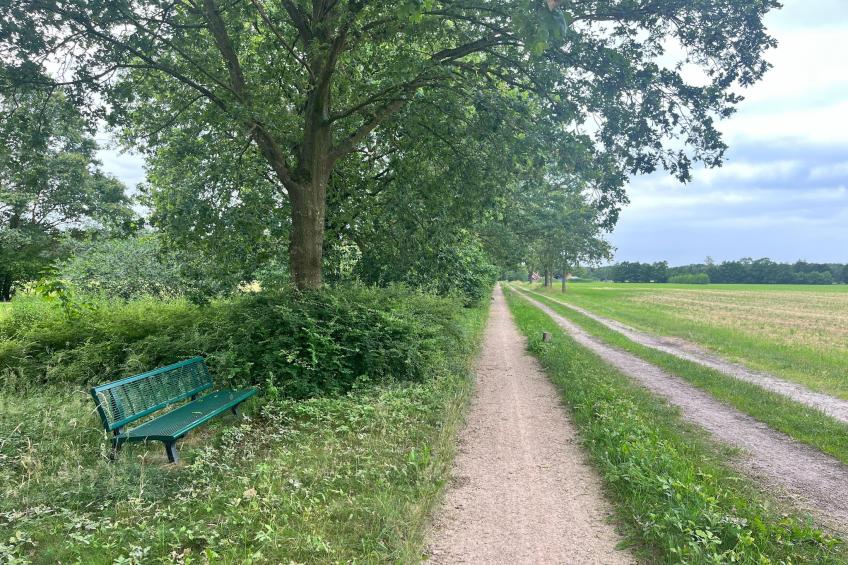 Gastenverblijf Langelshoes - foto 16