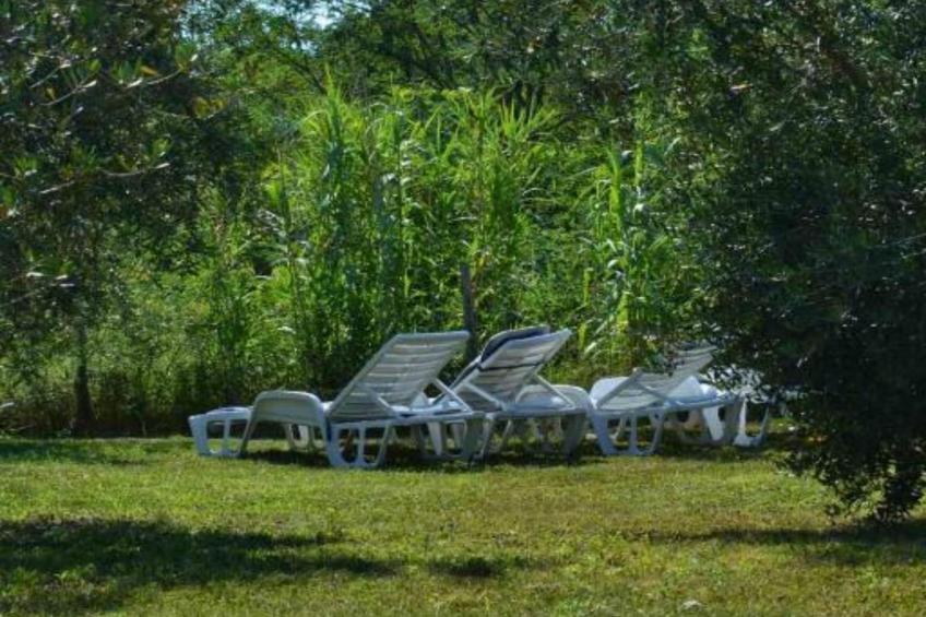 House in Nature - foto 8