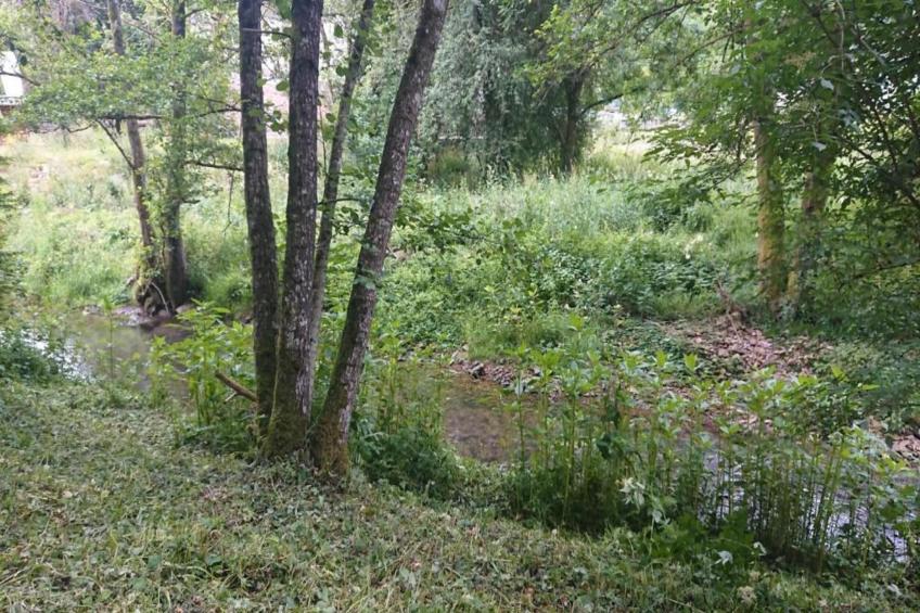 Feriendorf Reinskopf - foto 31