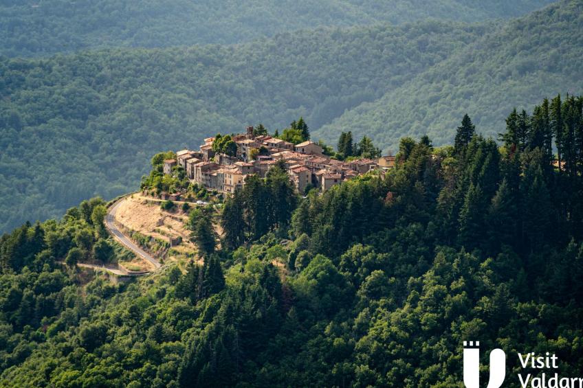 Flache Kornblume - foto 31