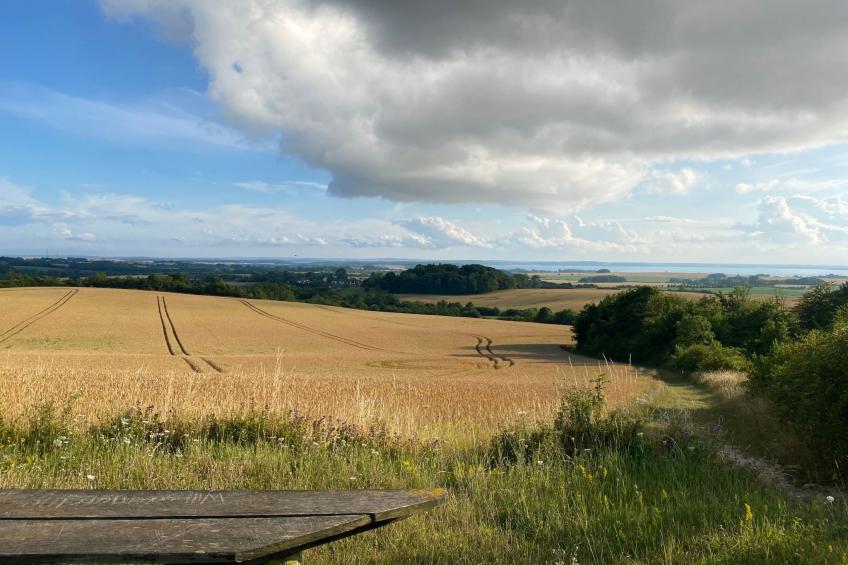 Leuchtturm - foto 14