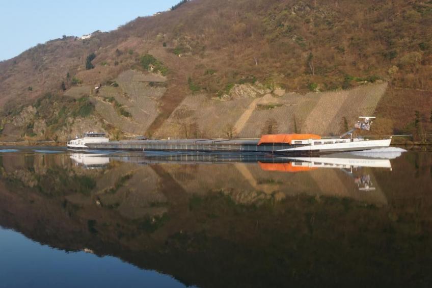 Moseljuwel-Traumferien Ferienwohnung - foto 23