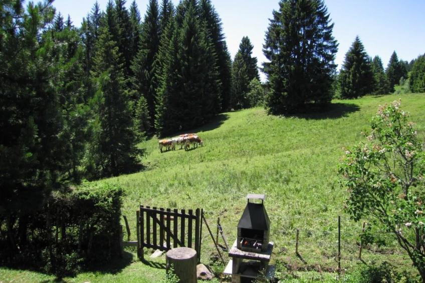 Maiensäss Romantica - foto 12