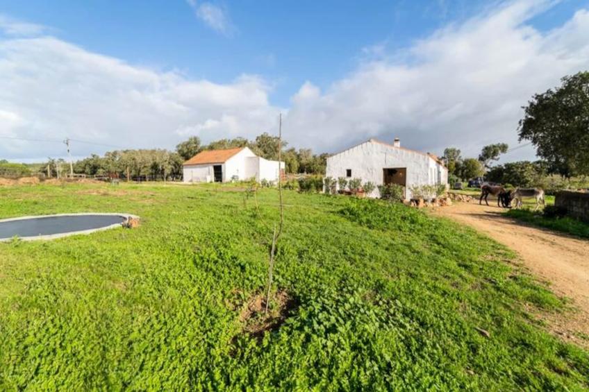 Casinha Da Paz - foto 26