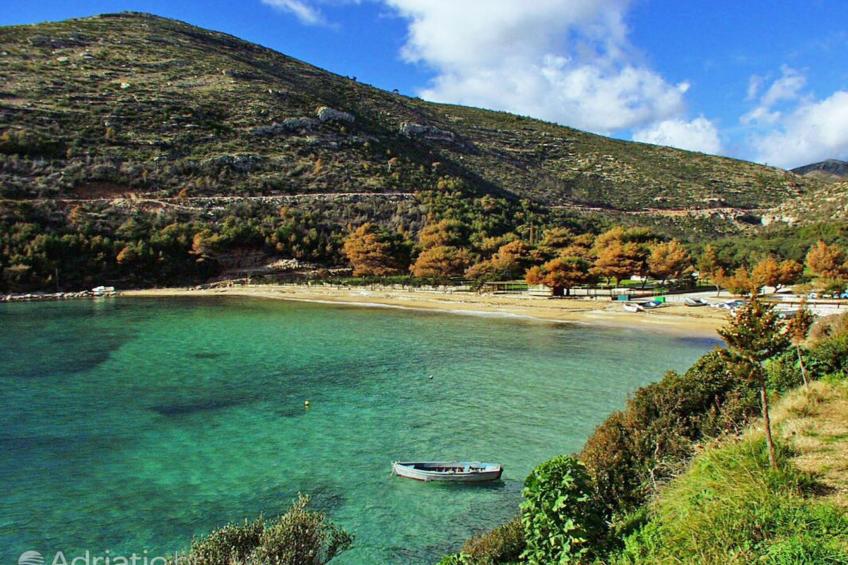 Four bedroom apartment - foto 19