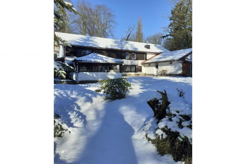 L'Ecureuil Blanc - foto 7