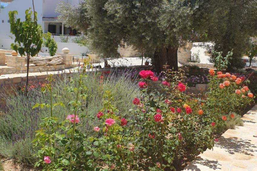 Villa Efthalia - foto 4