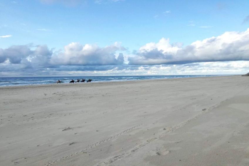 Skovhytte 4 personer - foto 20