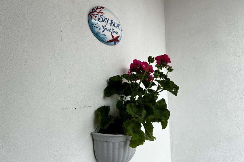 Sky Blue Guest House - foto 15