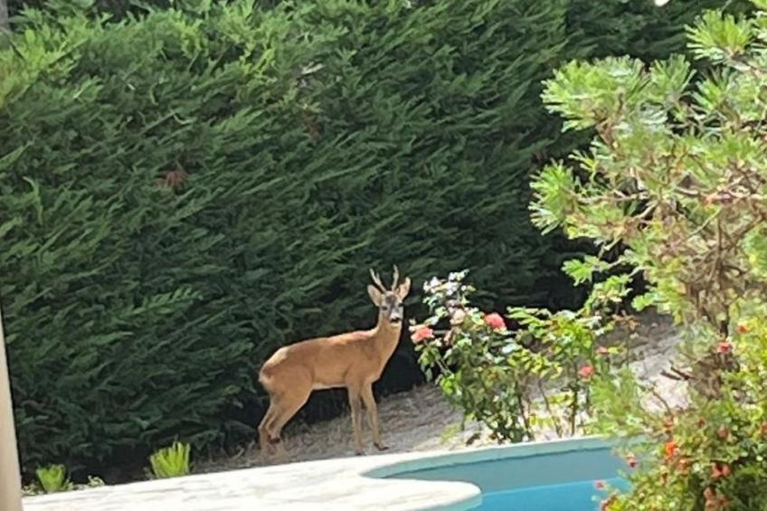 Ferienvilla 'Secret Montegiorgio - foto 15