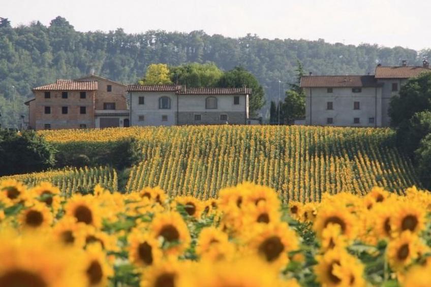 Bauernhof Podere Casenove Wohnung Pino Bilo - foto 20