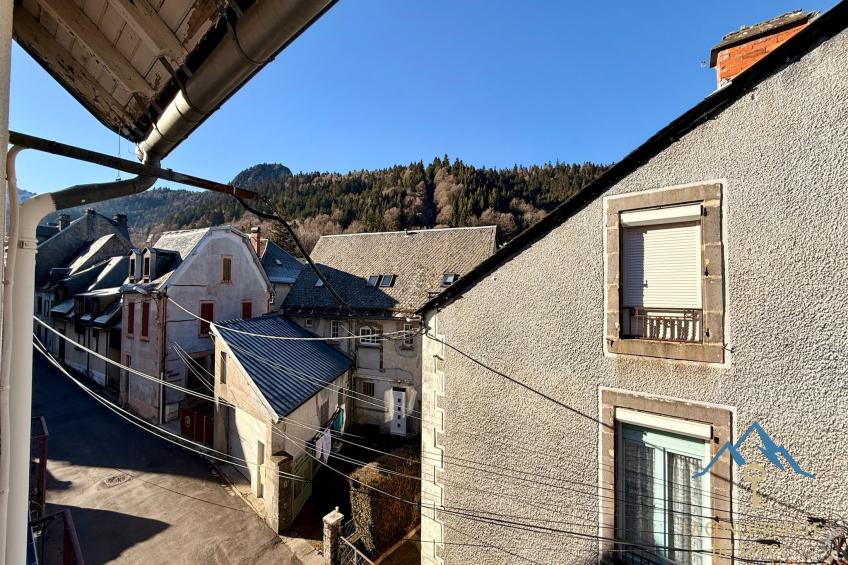 Les Soldanelles Le Mont Dore 12 pers - foto 36