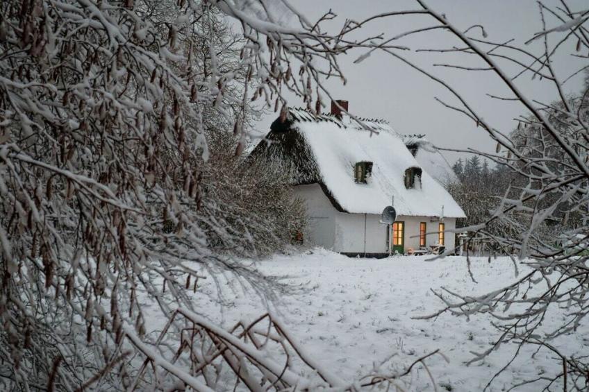 191244 - foto 19