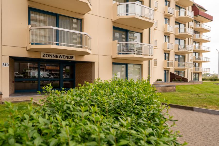 Zonnewende - foto 6