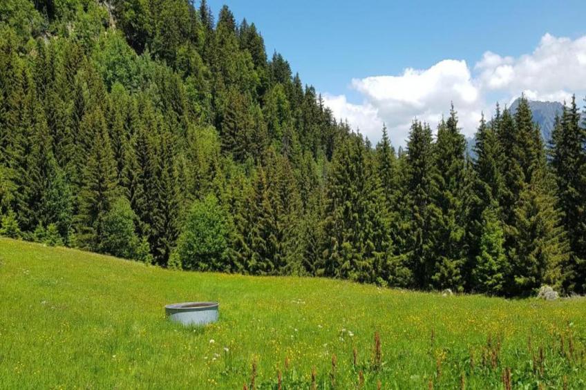 LES ARCADES A N°37 - 2P4 - foto 14