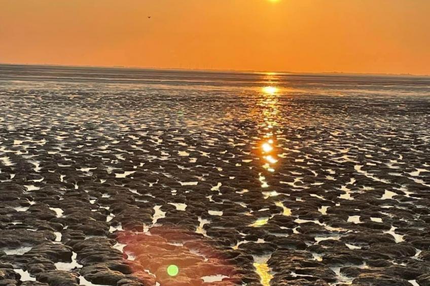 Landhaus Markus - foto 36