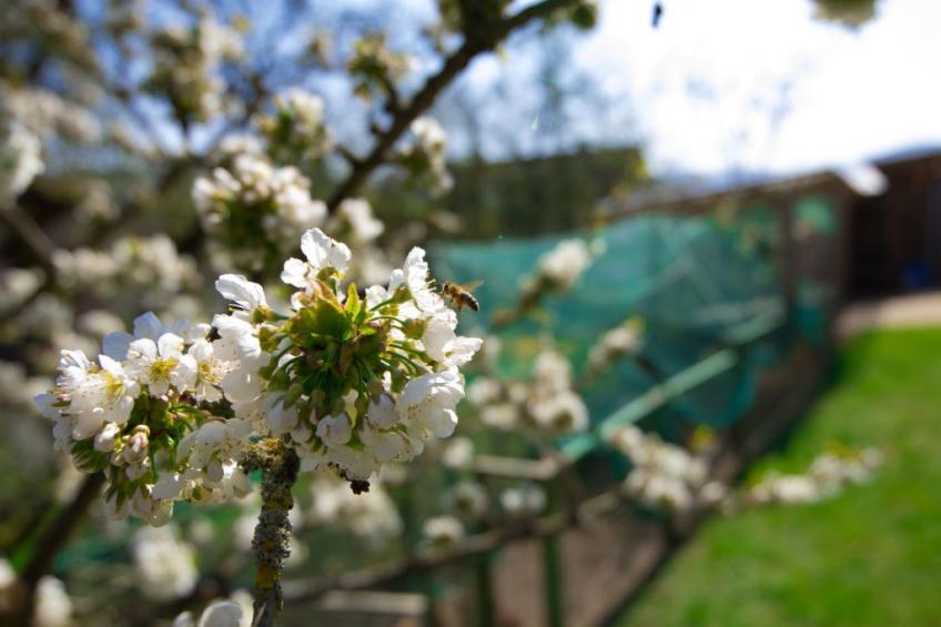 Fewo Dirks 2 - foto 23