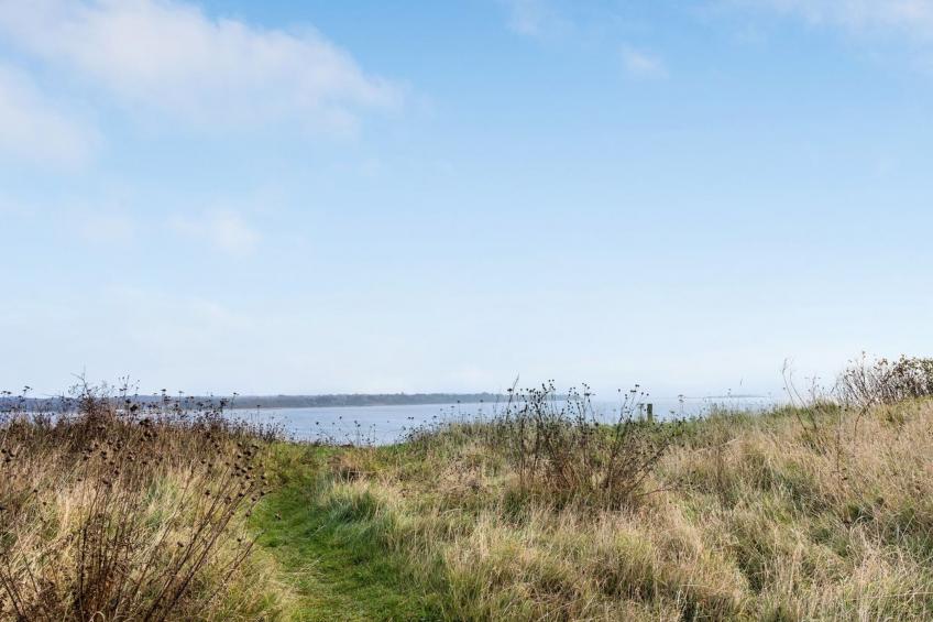"Bosilka" in Sealand - foto 23