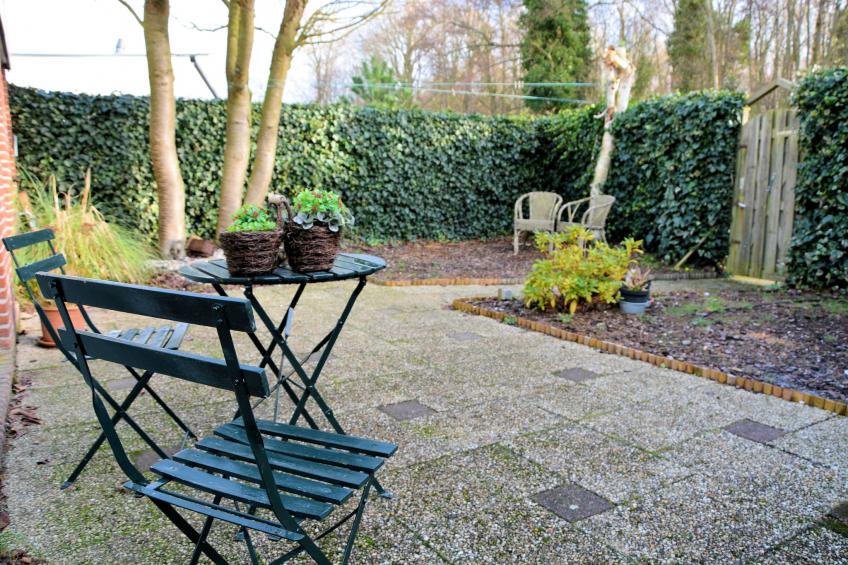 Bos-Lodge - foto 16