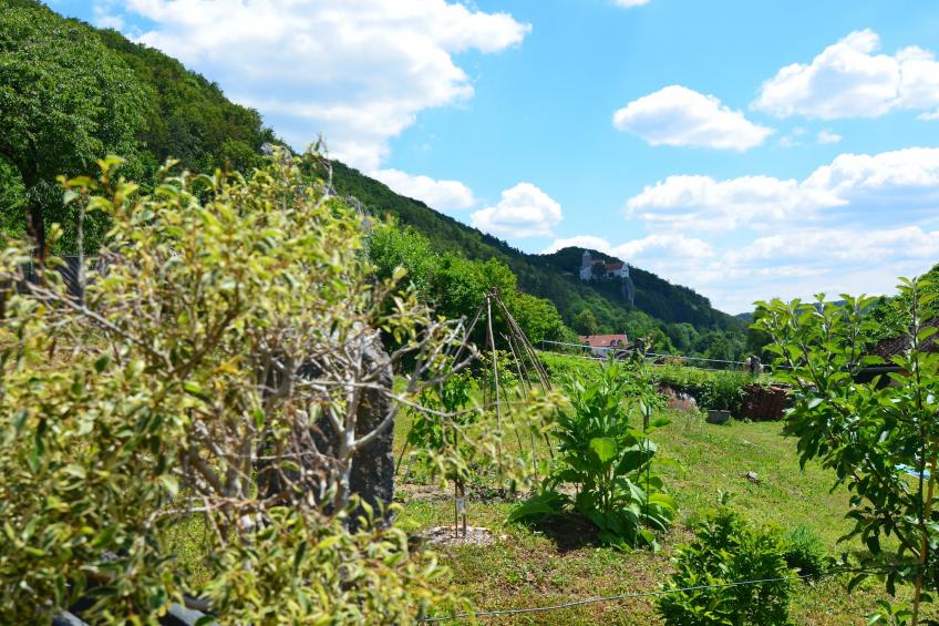 Im Altmühltal - foto 26
