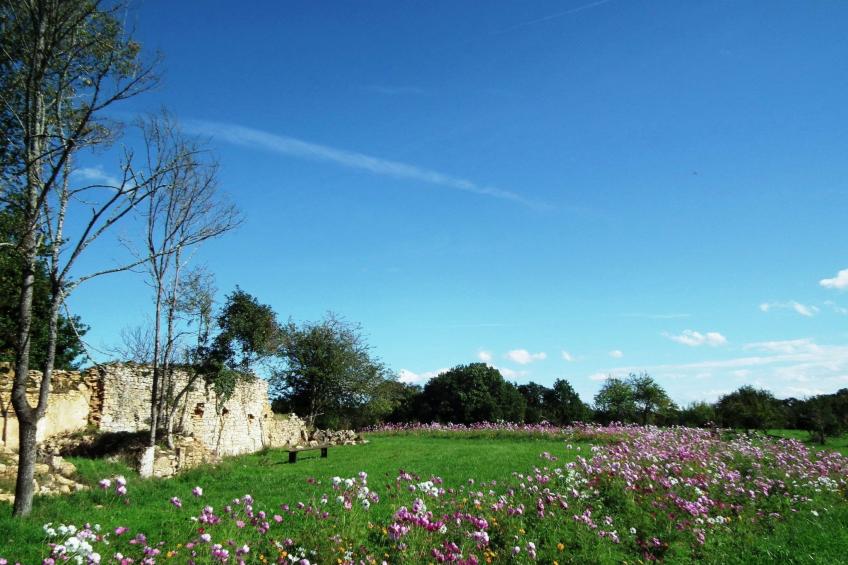 Domaine "Le Fournil" mit Jacuzzi - foto 28