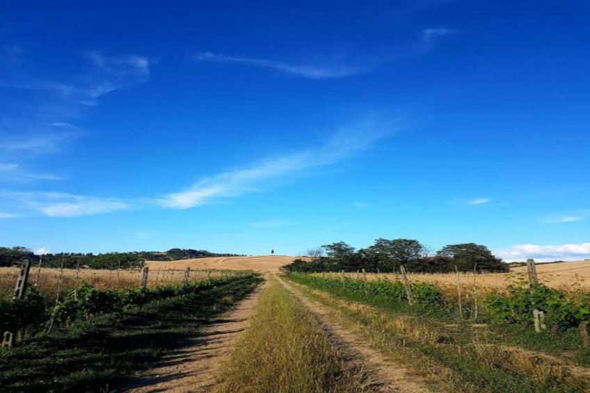 Villa Celli - foto 31