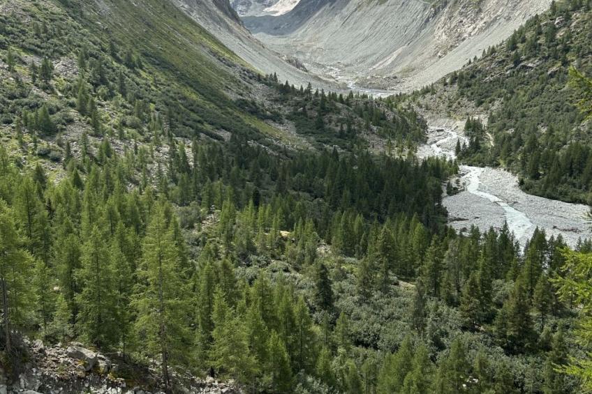 Les Erables CD 465 - foto 13