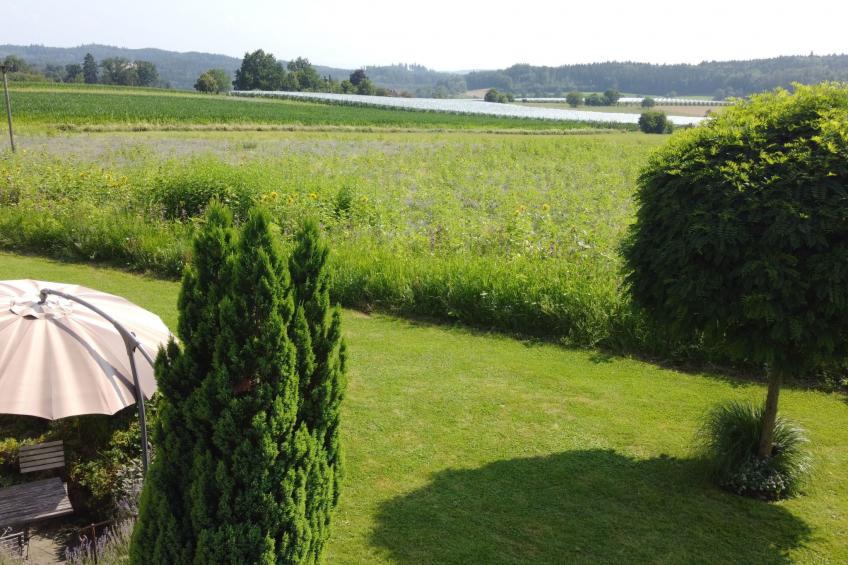 Appartement in Beuren mit Terrasse und Grill - foto 5