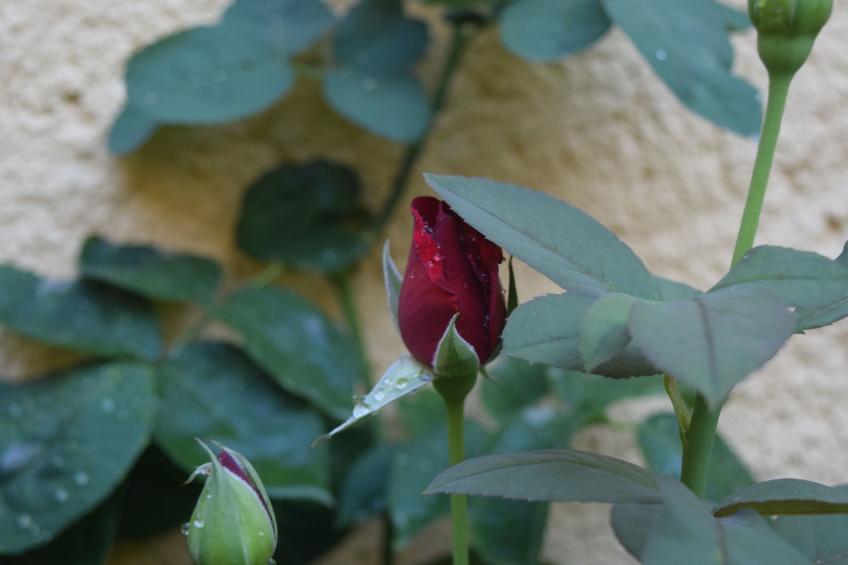 Fachwerkhaus "Casa Entera". - foto 46