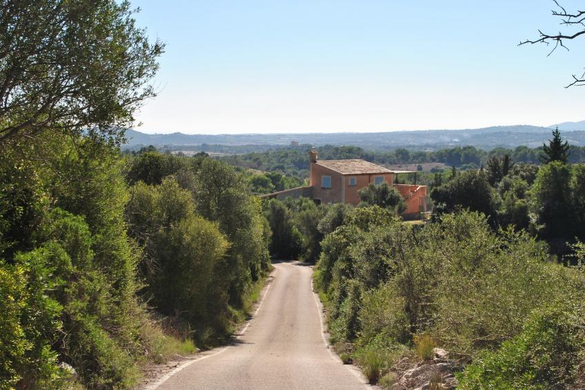 Son Drago - foto 38