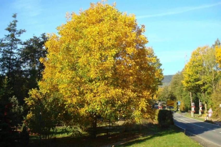 Feriendorf Natur pur - foto 32