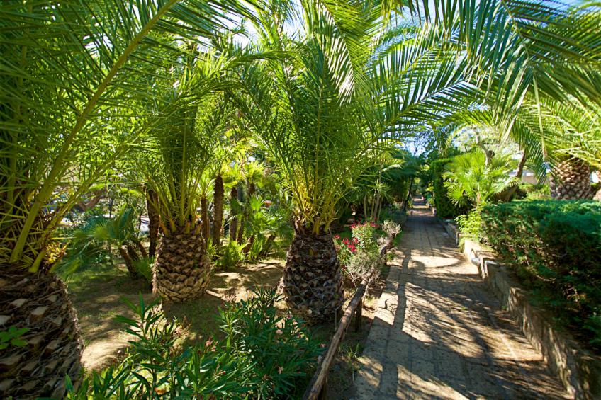 Residence Park Solemaremma (CST326) - foto 41