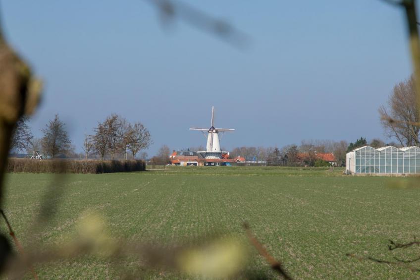 Holidayhome - Verkorte Groeneweg 2 | Koudekerke - foto 33