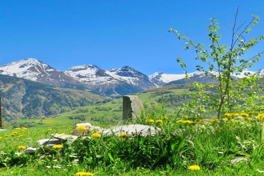 La Sclarida - foto 20