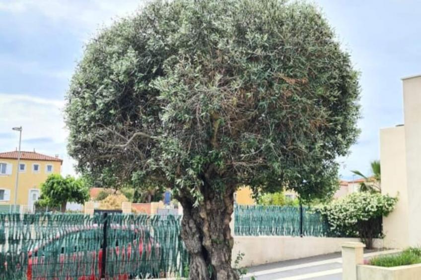 Le Luxe Entre Mer Et étang Soirées Interdites - foto 13