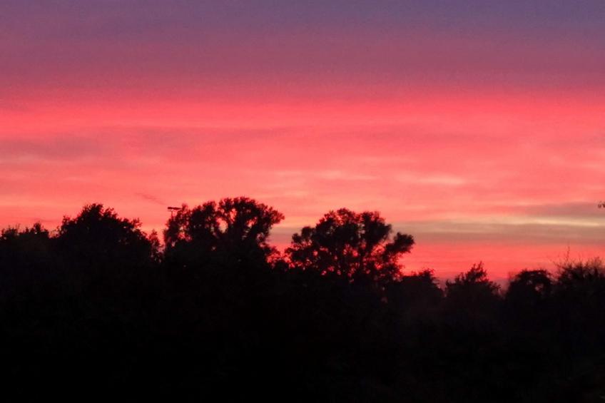 für 4 Personen ca. 165 m² in Mardorf, Niedersachsen (Steinhuder Meer) - foto 19