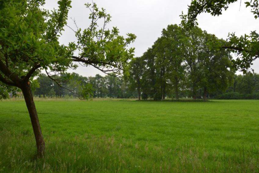 Huus in t Hagt - foto 13