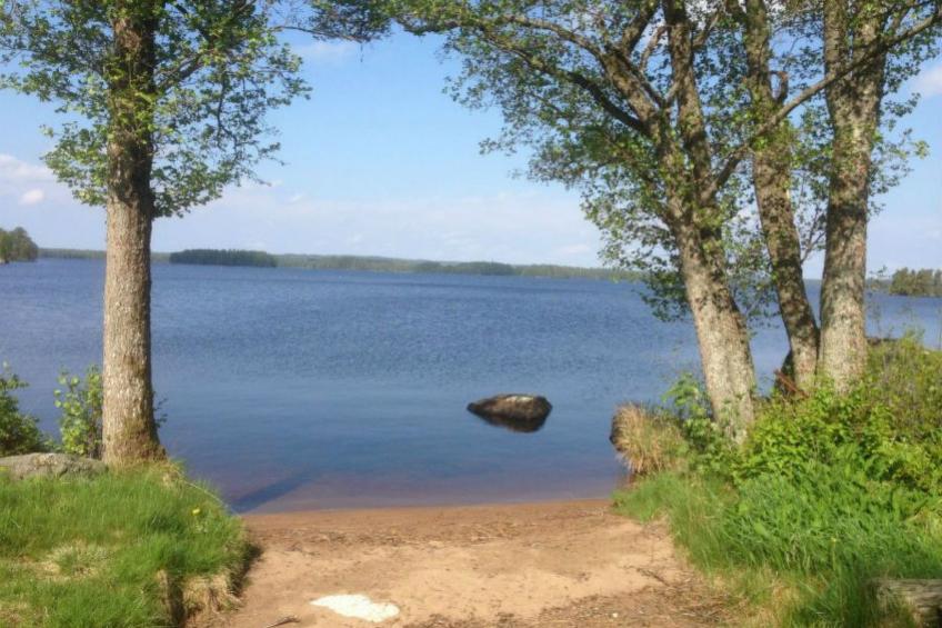 Skuggebo Gårdsjön - foto 45