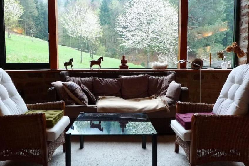 in Walscheid mit Terrasse, Grill - foto 5