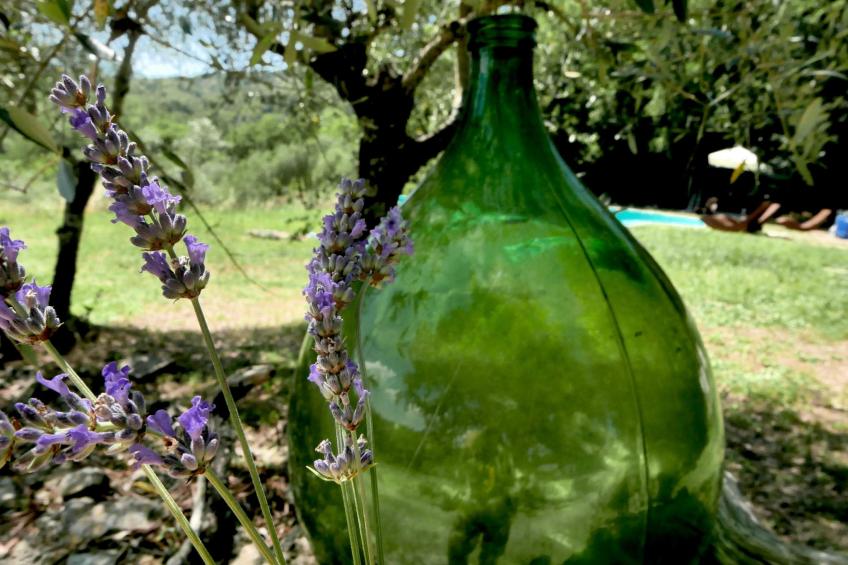 Charmantes Ferienhaus in Ciciano mit Grill, Garten und gemeinsamem Pool und Pan - foto 6