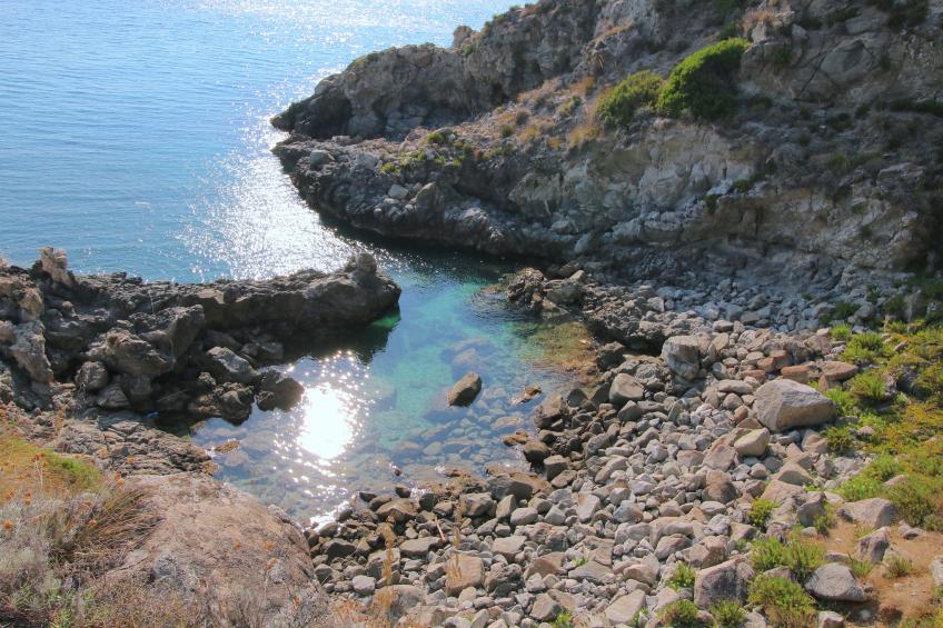 Mandorlo - foto 30